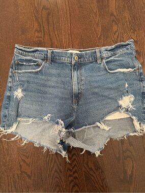 Abercrombie and Fitch Curve Love High Rise Mom Short - Size 34